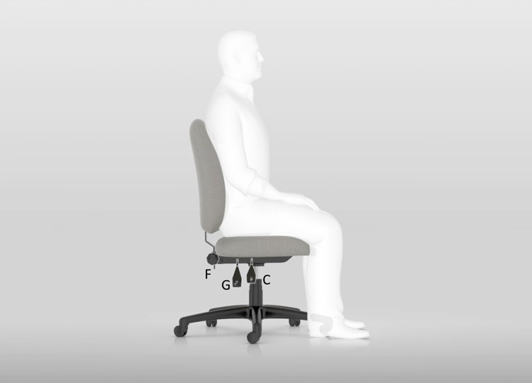 Posture Task